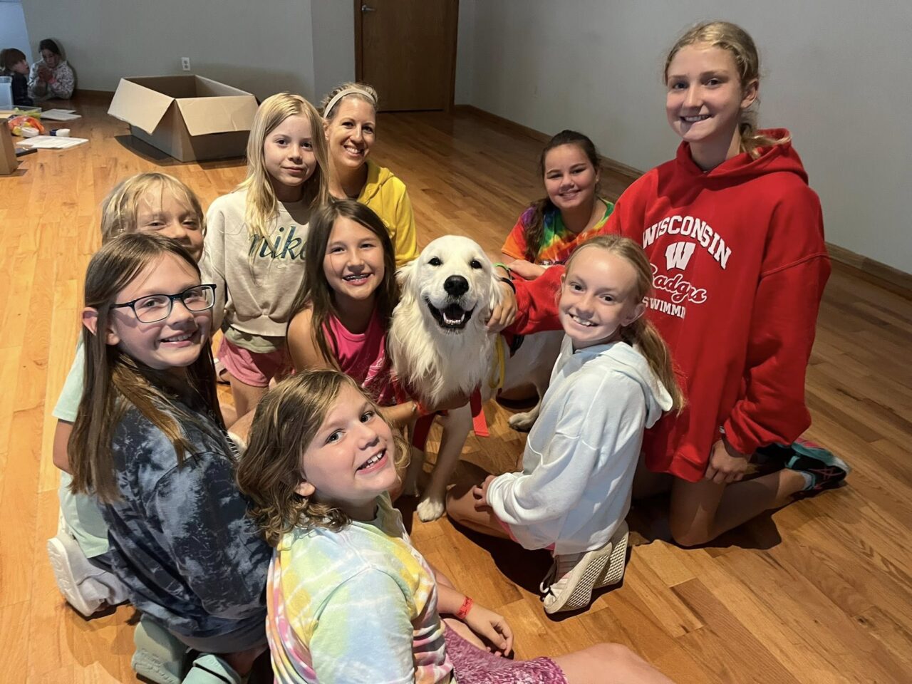 Service Dog Training Wisconsin | Therapy Dogs | Dawgs at Work
