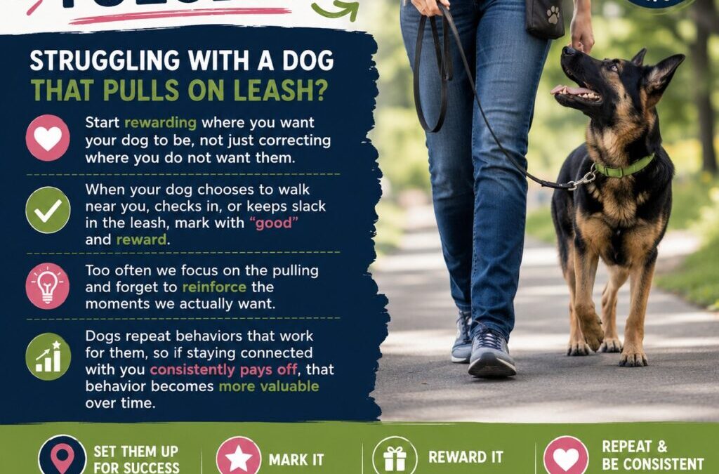 Trainer Tip Tuesday