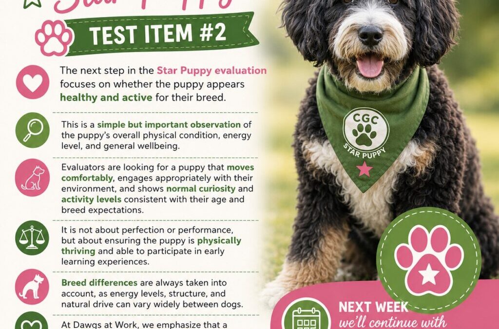 CGC Series: Star Puppy