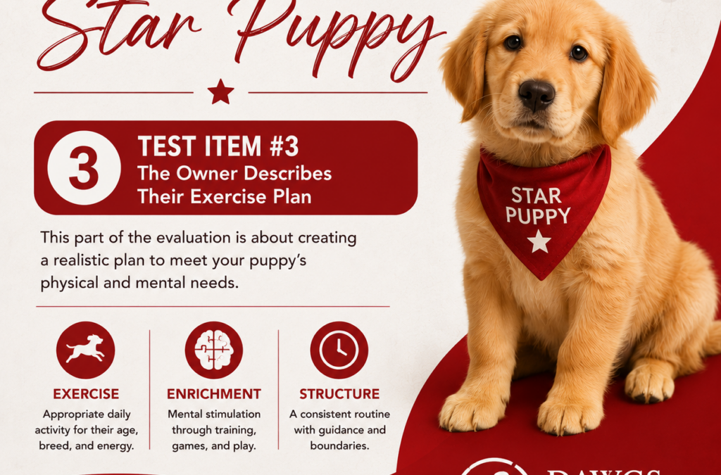 CGC Series: Star Puppy