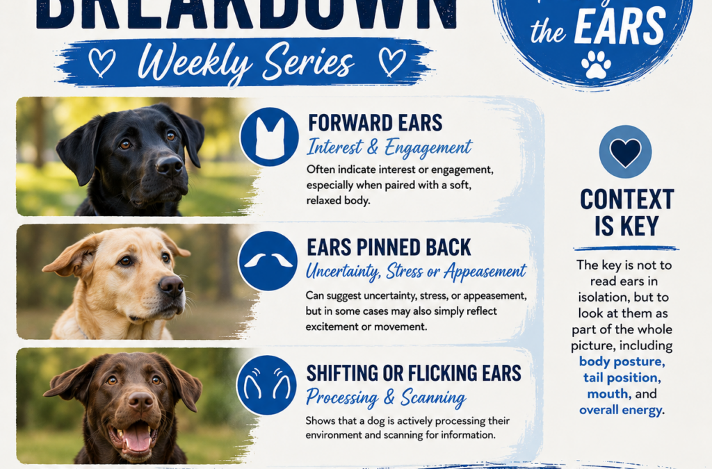 Body Language Breakdown