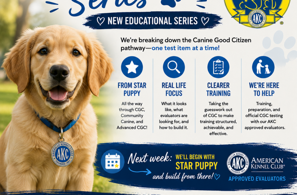Canine Good Citizen Series