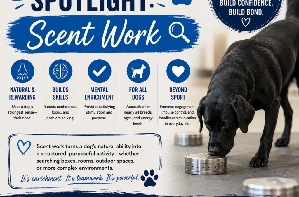 Dog Sports Spotlight