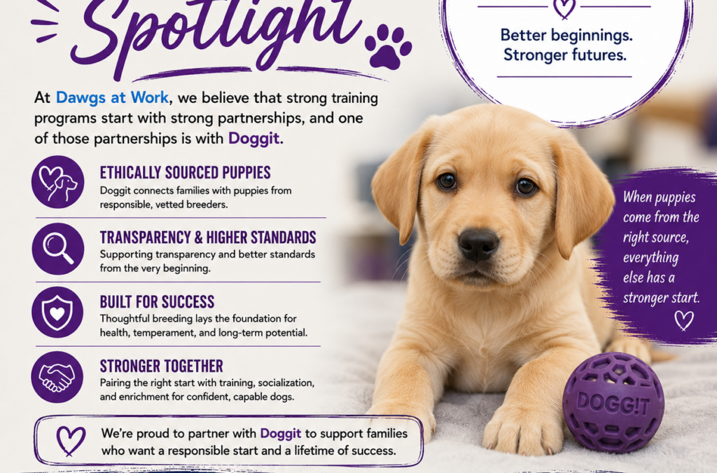 Partner Spotlight