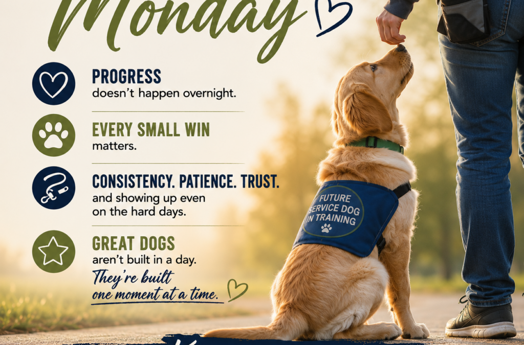 Motivation Monday