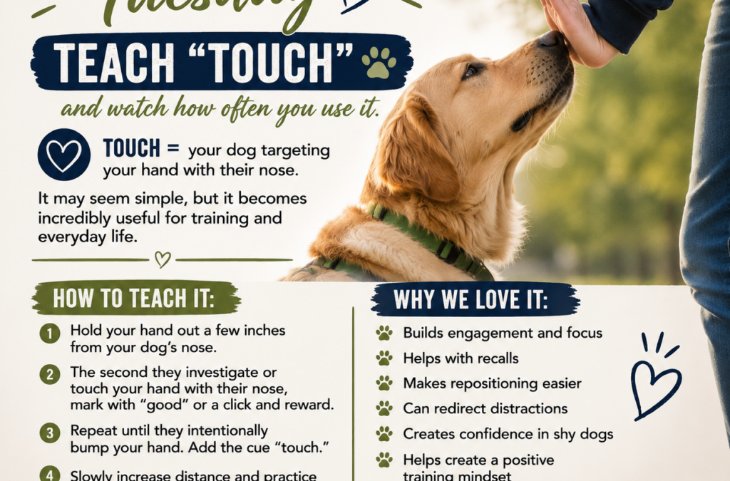 Trainer Tip Tuesday