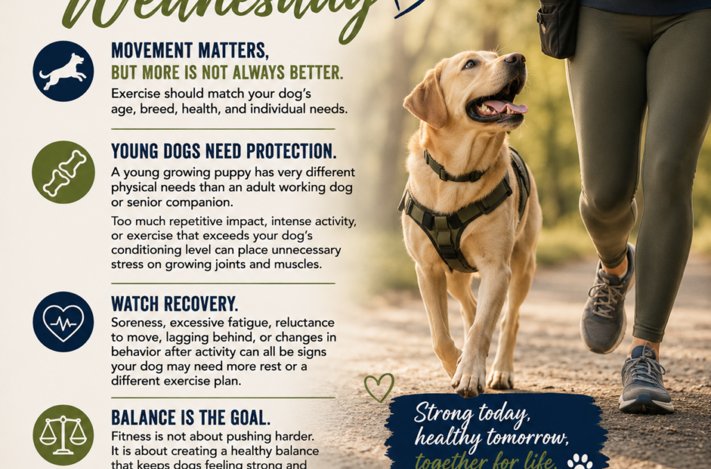 Wellness Wednesday